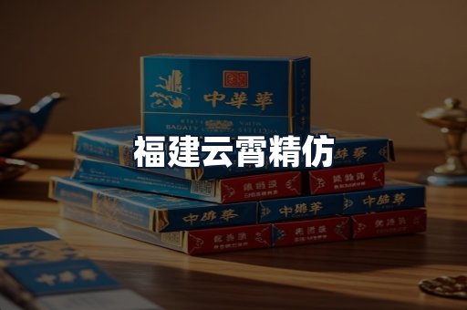 福建云霄精仿